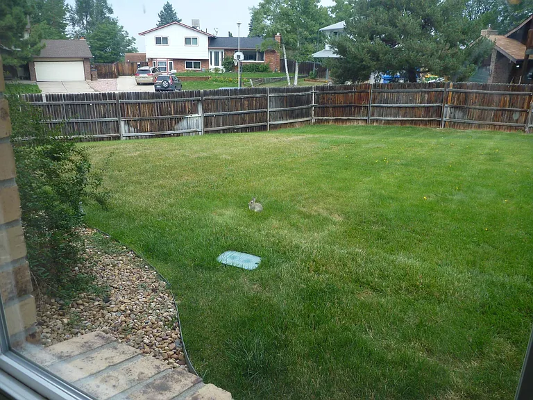 3725 W 95th Pl — Photo 9