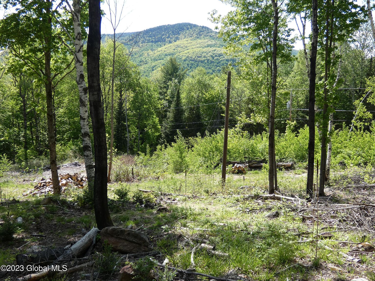 L40 Barney Hill Road, Johnsburg, NY 12843 Zillow