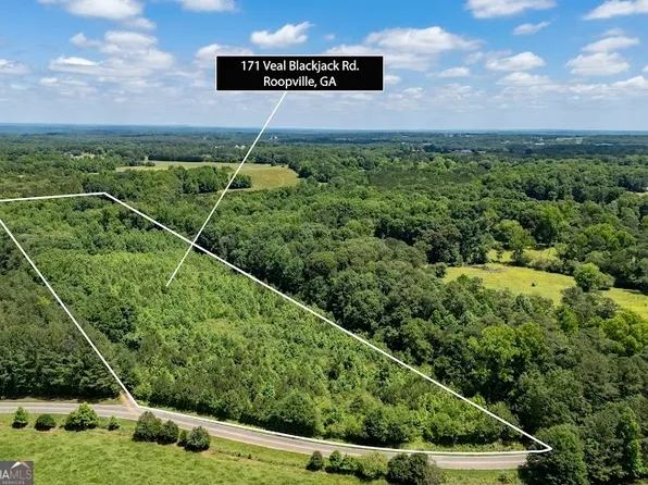 171 Veal Blackjack Rd, Roopville, GA 30170