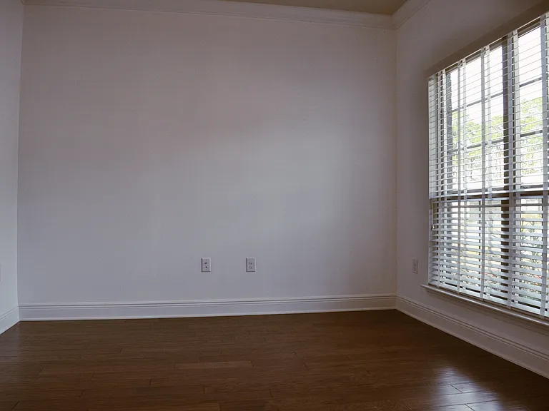 493 Cocobolo Dr — Photo 18