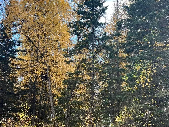 2492 N Barnacle Dr, Wasilla, AK 99623