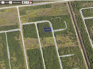 1918 Badjong Ave SW, Palm Bay, FL 32908