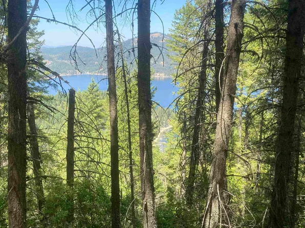 Nna E Deer Lake Rd, Loon Lake, WA 99148