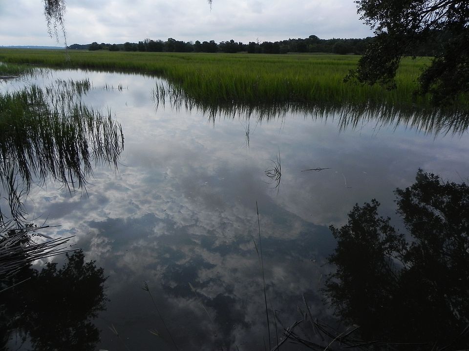 Wards Creek waterfront