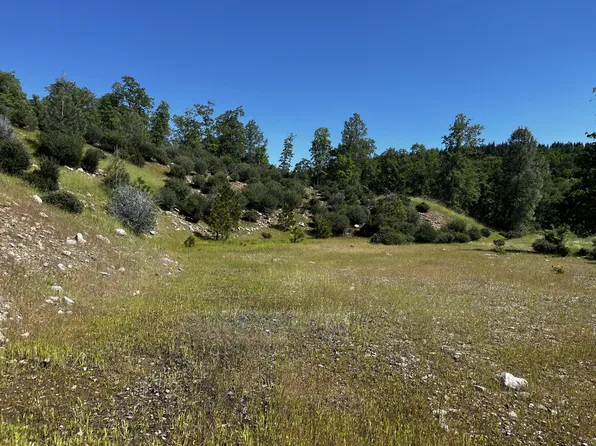 16757 The Gulch Rd, Round Mountain, CA 96084