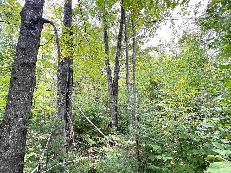 1st image of Star Lake Rd