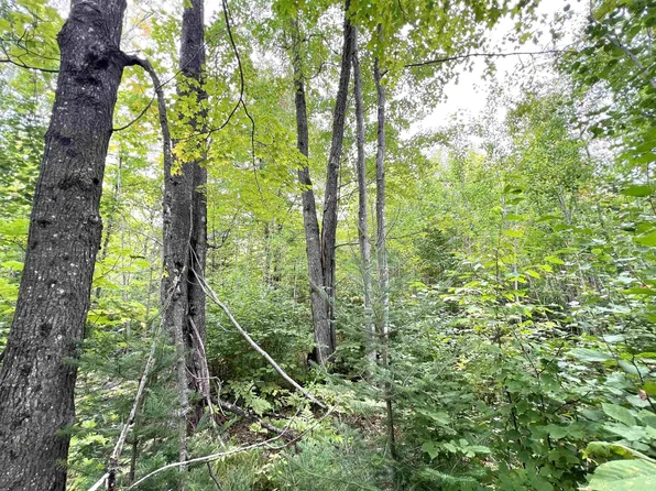 Star Lake Rd, Crandon, WI 54520