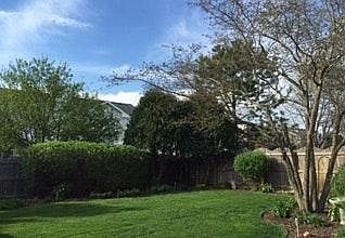 Backyard Garden