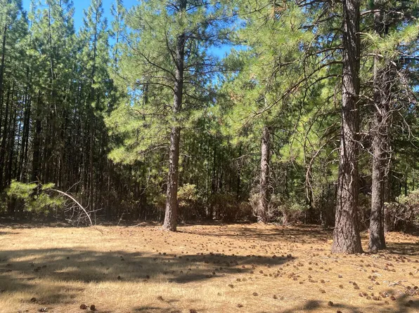 0 Wildrose Dr, Grizzly Flats, CA 95636