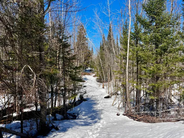 Zolner Rd, Cheboygan, MI 49721