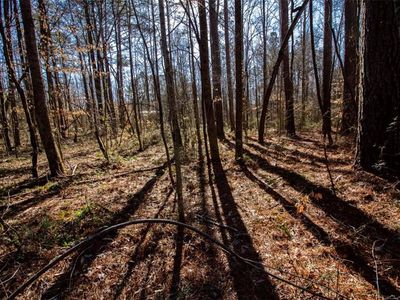 0 Kelly Bridge Ct Lot 7, Dawsonville, GA, 30534