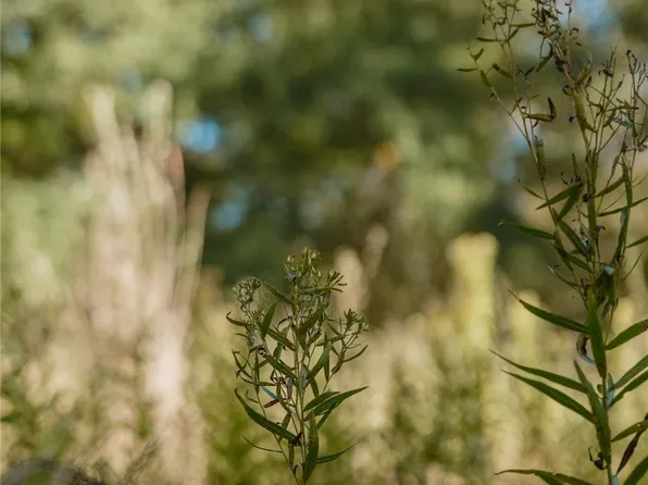 16 Private Road 5948, Yantis, TX 75497