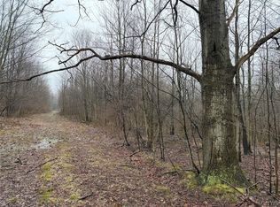 Bliss Rd, Mayville, NY 14757