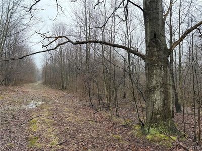 Bliss Rd, Mayville, NY, 14757