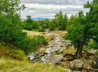 Tbd Pickney Rd, Rye, CO 81069