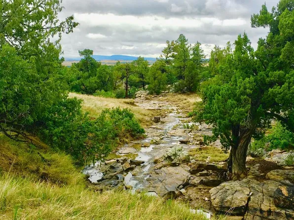 Tbd Pickney Rd, Rye, CO 81069