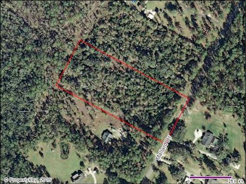 1st image of 724 Mallard Dr