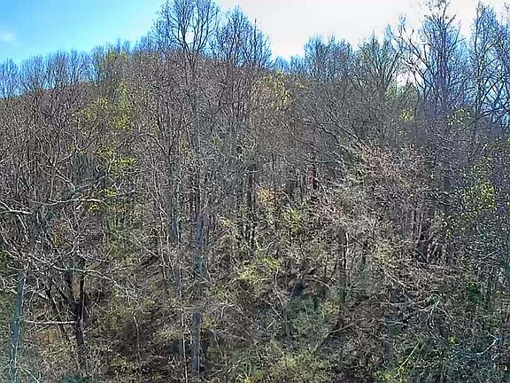 3rd image of 0F Graham Cir