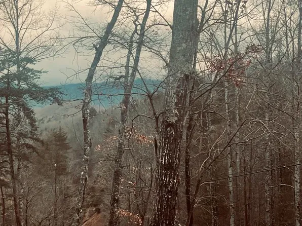 4742 Grassy Branch Rd, Bryson City, NC 28713