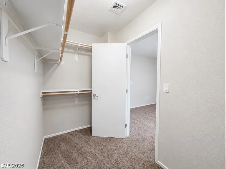 6132 Scarlet Leaf St — Photo 37