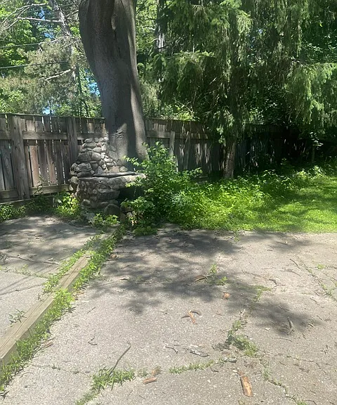 1315 Packard St — Photo 27