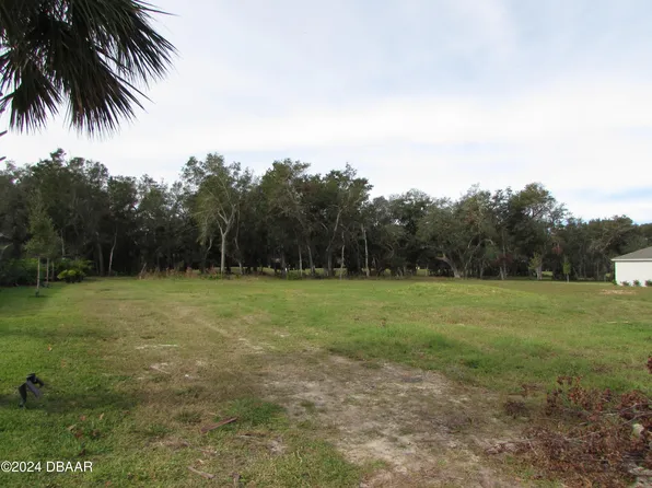 3134 Silvermines Ave, Ormond Beach, FL 32174