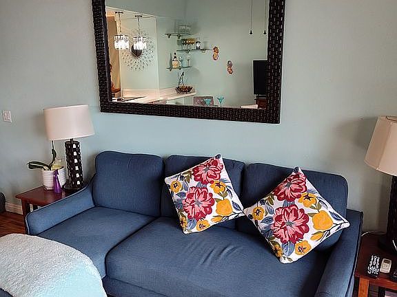 Comfortable sleeper/sofa