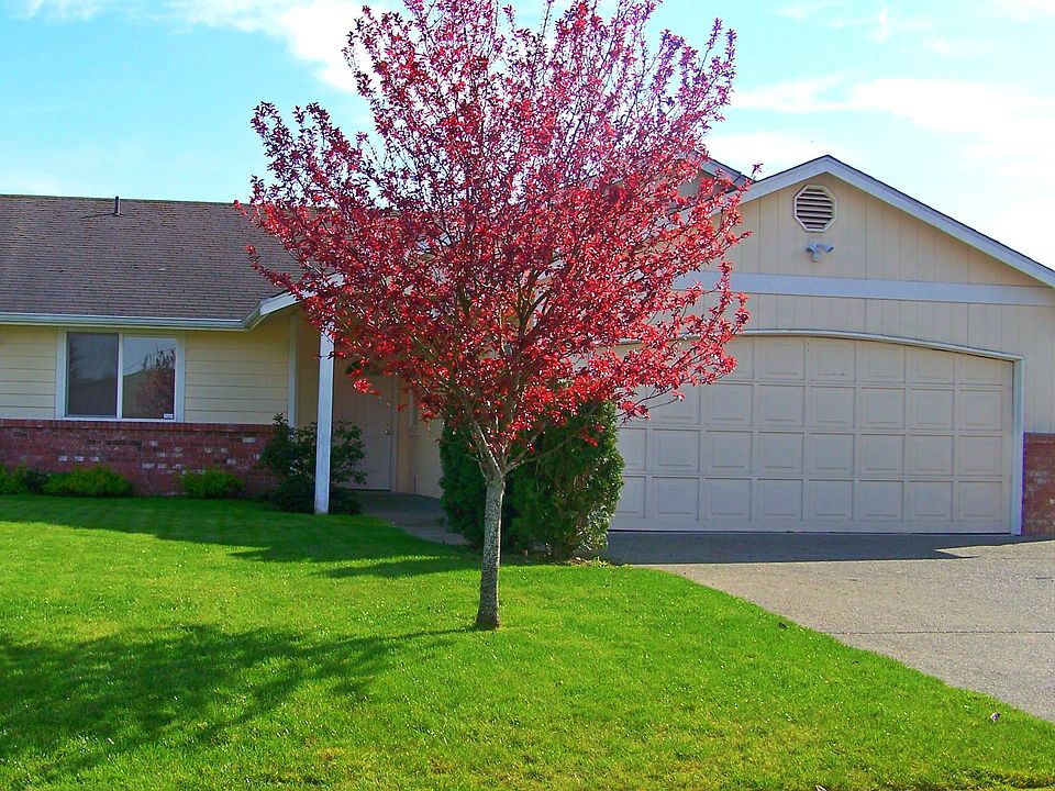 1st image of 13115 98th Avenue Ct E #13117