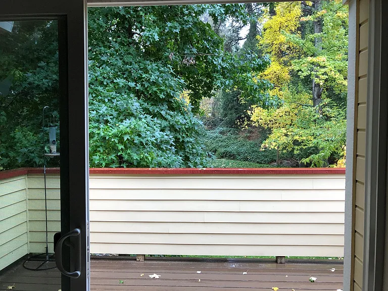 308 Bridge Way — Photo 8