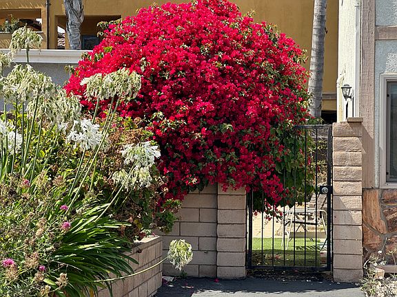 This two-bedroom is on the main level and includes a nice large side yard for BBQing and a shed for storage for surfboards, bikes, etc.