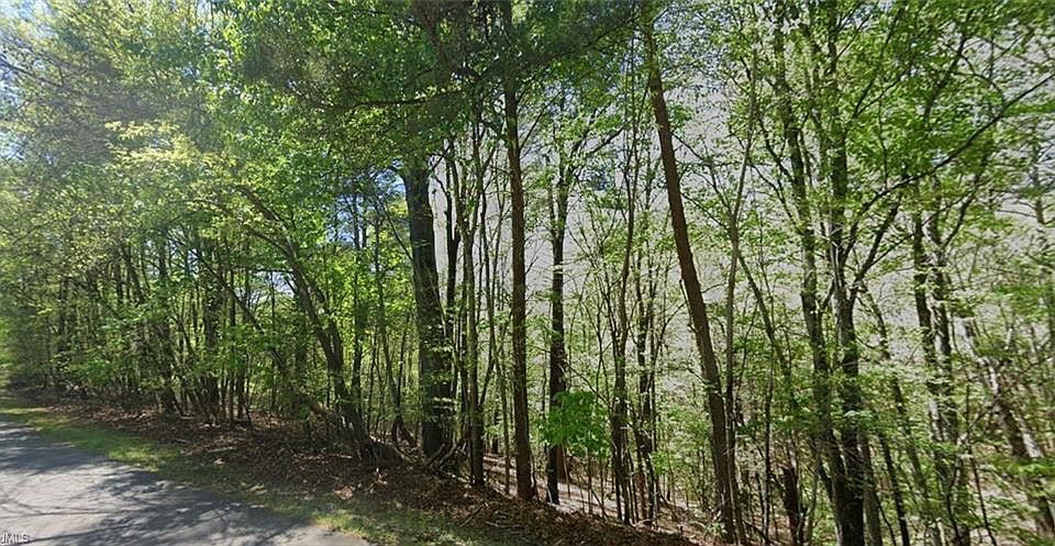 2nd image of 0 Ridge Ln #All