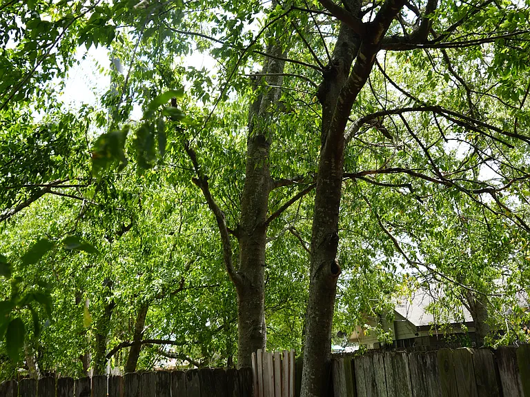 1712A Lawyer St #A — Photo 18