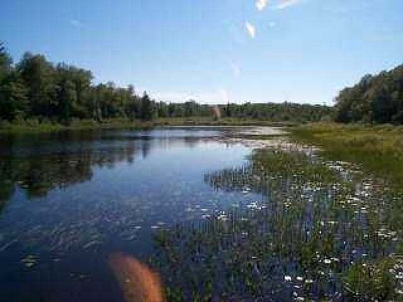 Turtle River