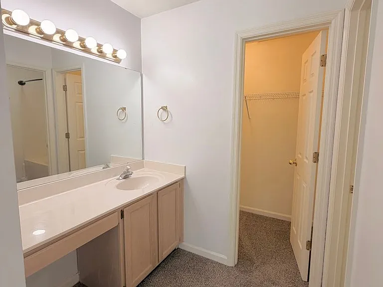 4414 Stratfordshire Ct — Photo 22