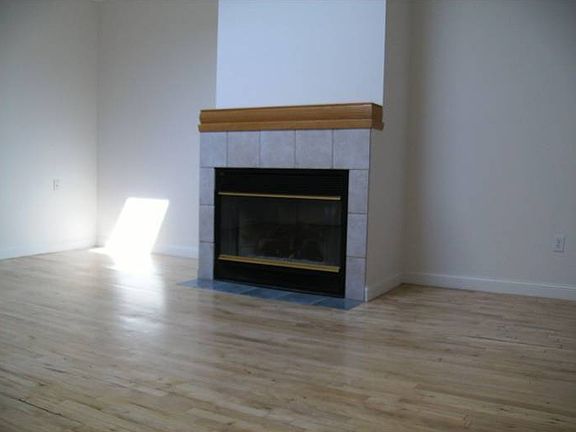 Gas Fireplace