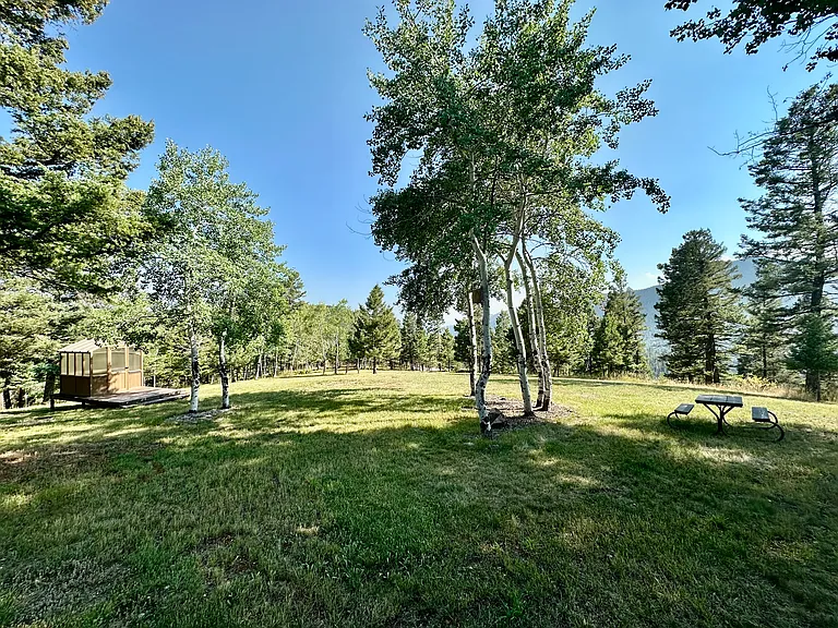 2 acres with a view and a green house