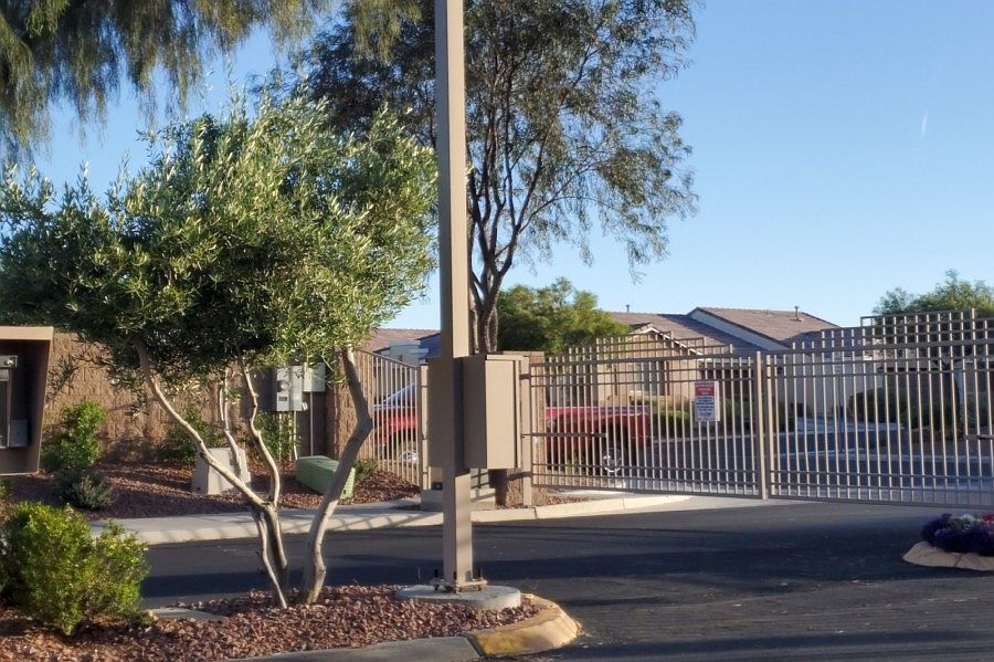 2nd image of 10446 Madagascar Palm St