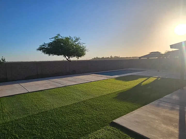 Shared Backyard
