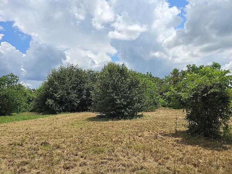 2nd image of 20736 Pearl St Lot 321