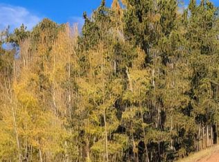 864 Wellington Dr, Cripple Creek, CO 80813