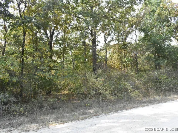 Tbd Stoney Oak Dr, Gravois Mills, MO 65037