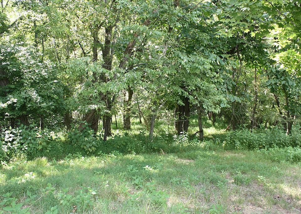 1st image of LOT 43 Deer Chase Trl