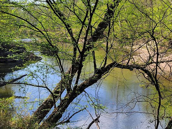 5th image of 7901 River Ridge Rd