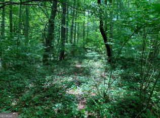 Watts Jenson Dr, Blairsville, GA 30512