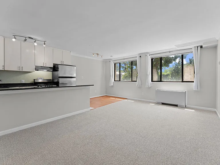 305 C St NE #308 — Photo 11
