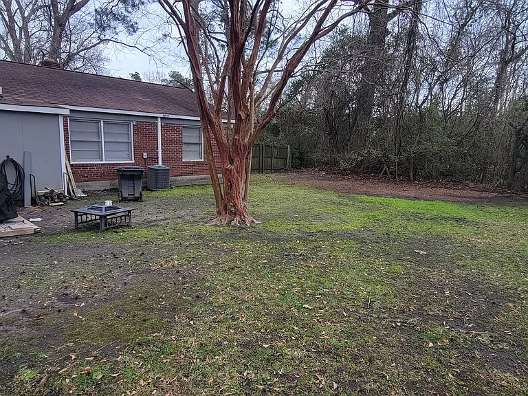 Backyard photo 2
