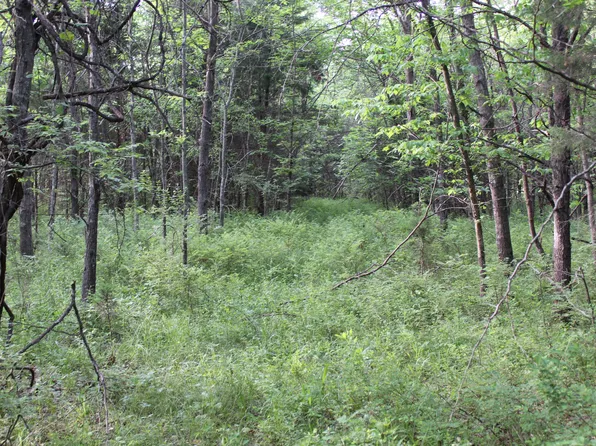 000 W State Highway Cc, Pleasant Hope, MO 65725