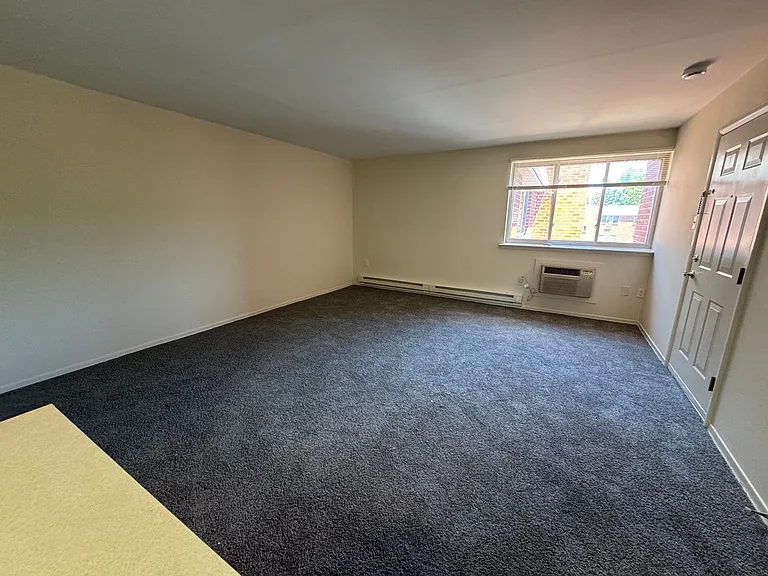 203 E Chestnut Street — Photo 17