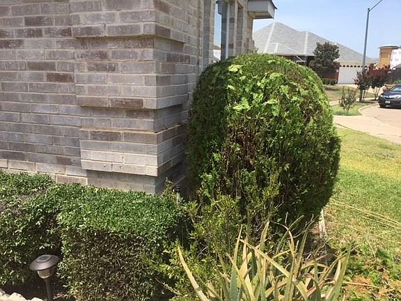 5th image of 3445 Jack Atkins Ct