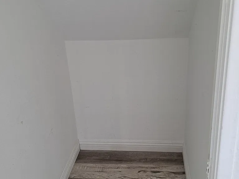 Downstairs closet